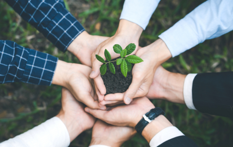 Environmental Management